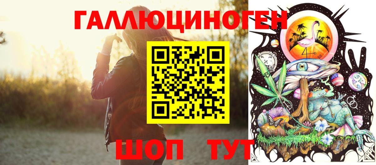 Галлюциногенные грибы прущие грибы  Балтийск 