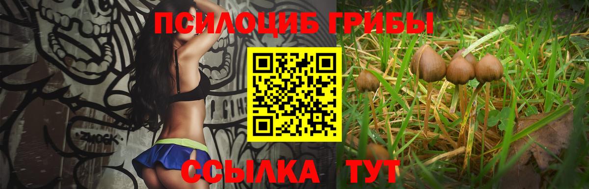 Псилоцибиновые грибы мицелий Балтийск
