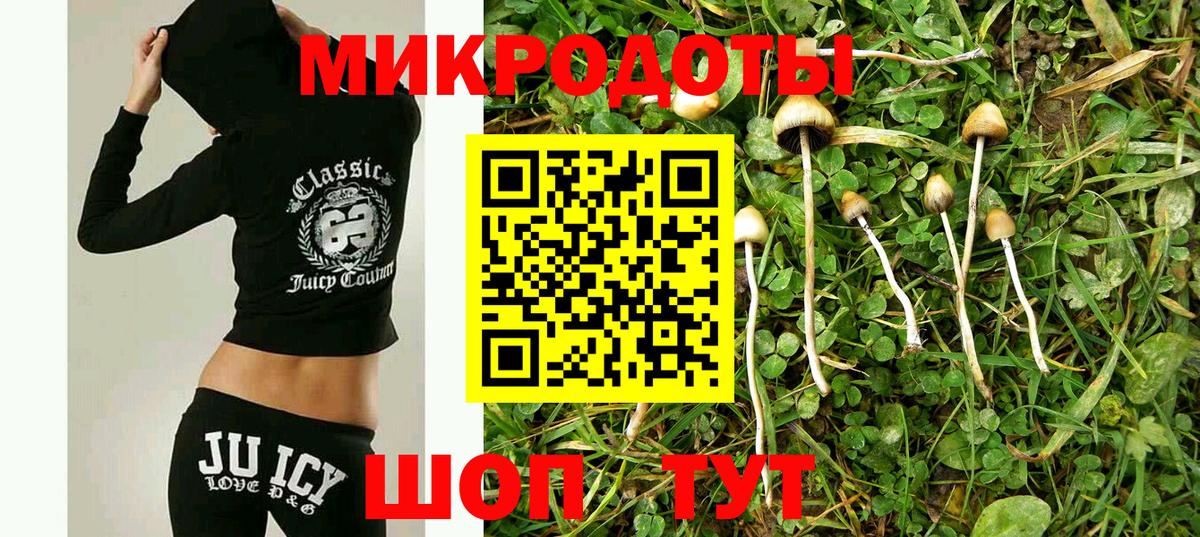 Псилоцибиновые грибы мицелий  Вход с VPN  Балтийск  Галлюциногенные грибы ЛСД 